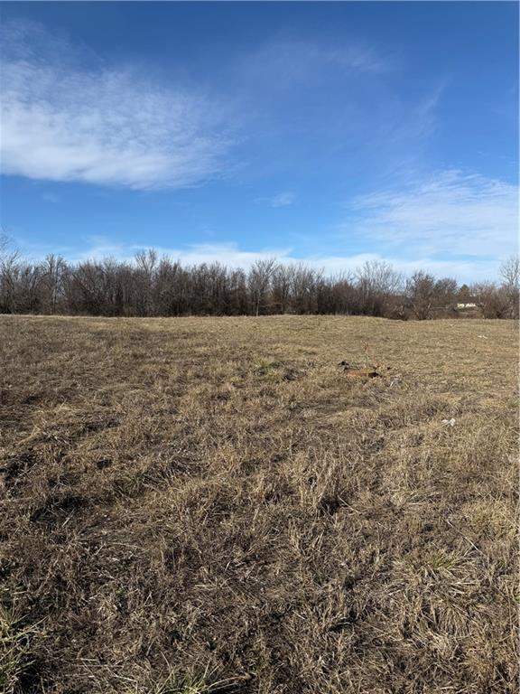 Listing Photo MLS #HMS2595754