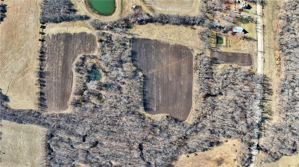 Listing Photo MLS #HMS2595837