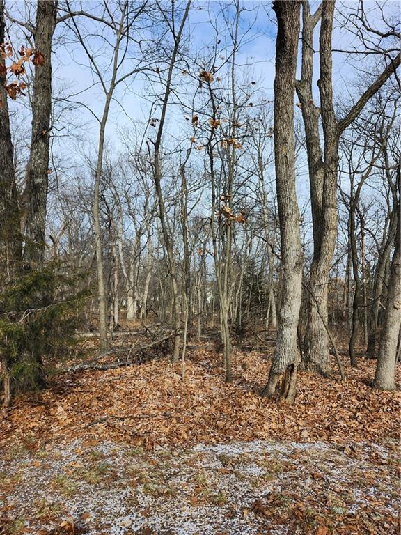 Listing Photo MLS #HMS2596040