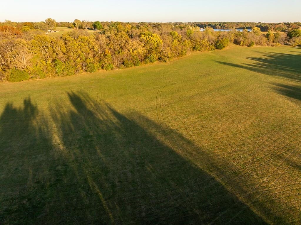 Listing Photo MLS #HMS2596104