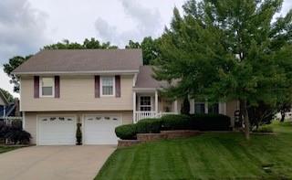 Listing Photo MLS #HMS2596355