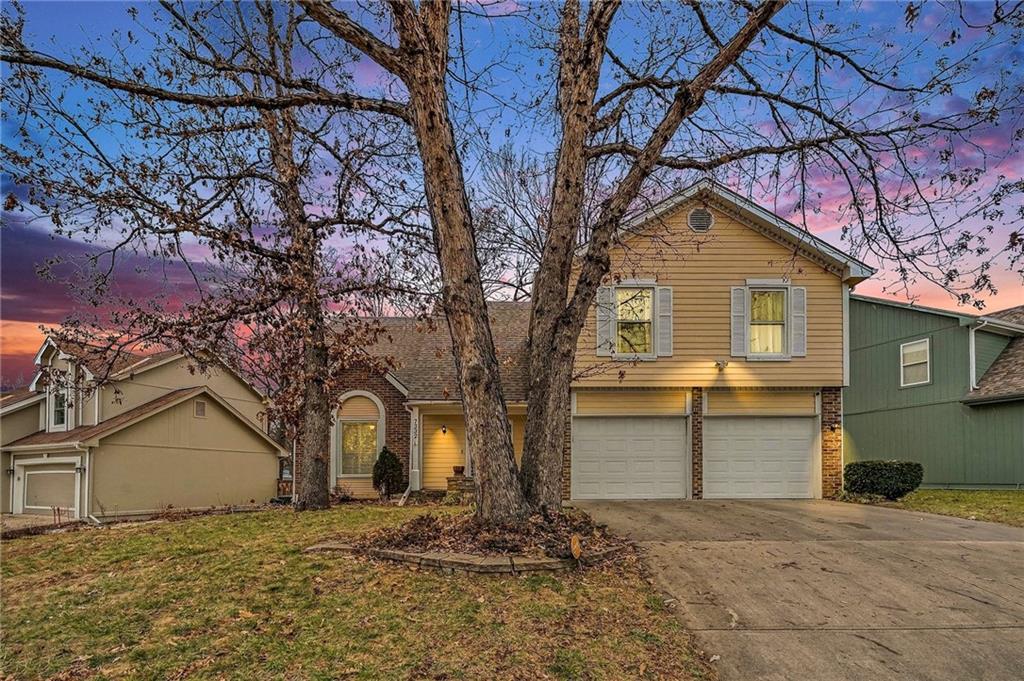 Listing Photo MLS #HMS2597203