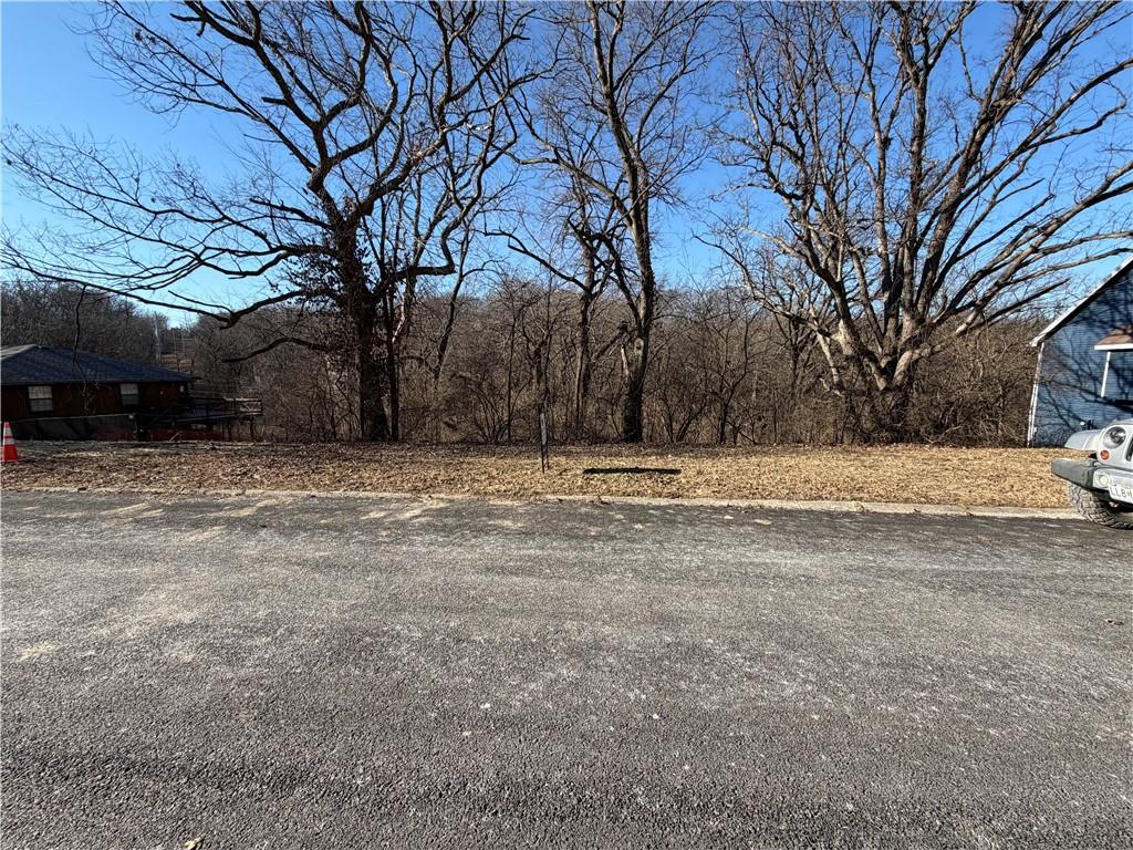 Listing Photo MLS #HMS2597256