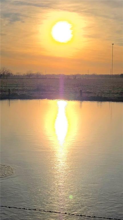 Listing Photo MLS #HMS2597672