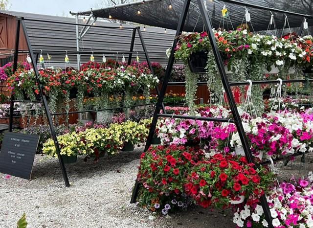 Listing Photo MLS #HMS2601390