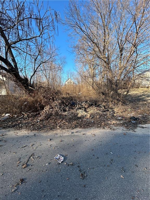 Listing Photo MLS #HMS2603207