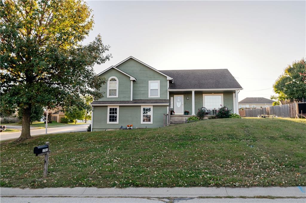 Listing Photo MLS #HMS2603650