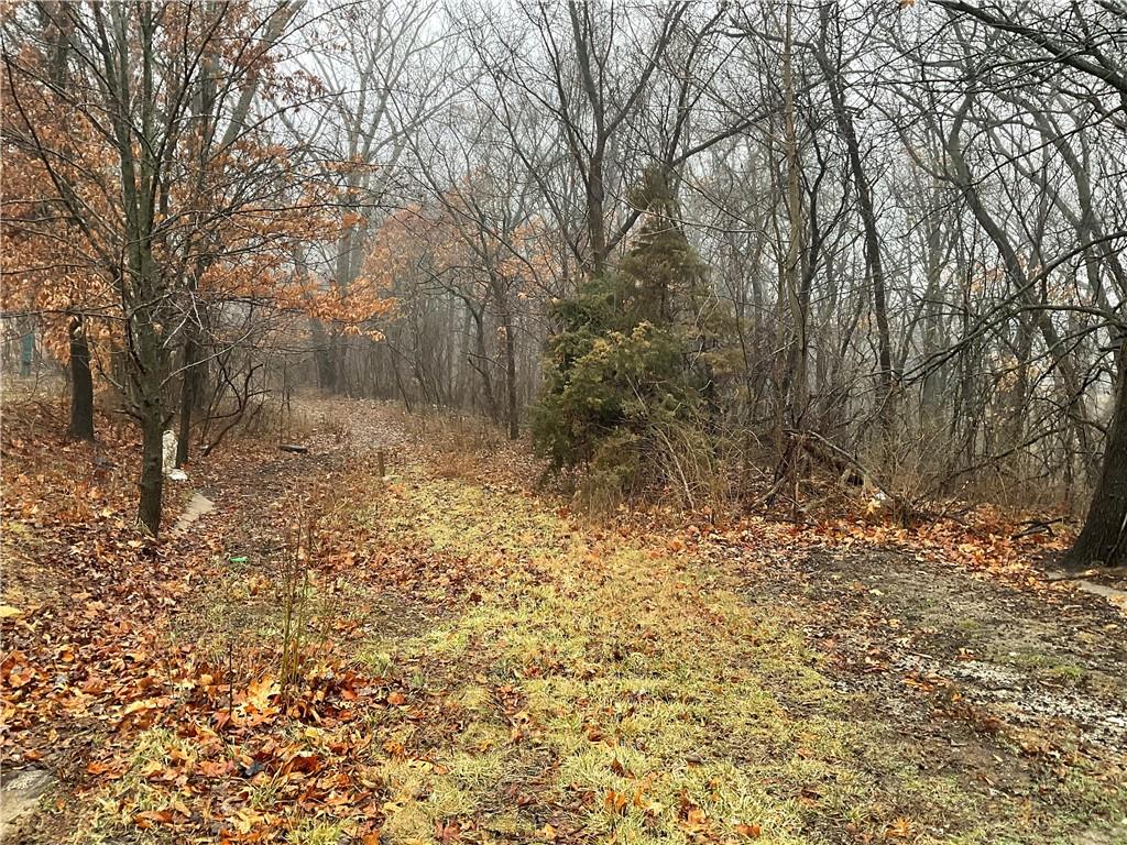 Listing Photo MLS #HMS2605149