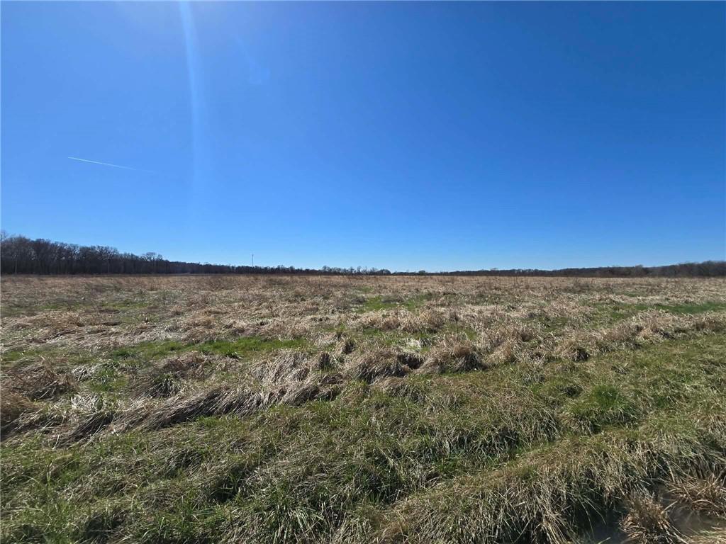 Listing Photo MLS #HMS2606782