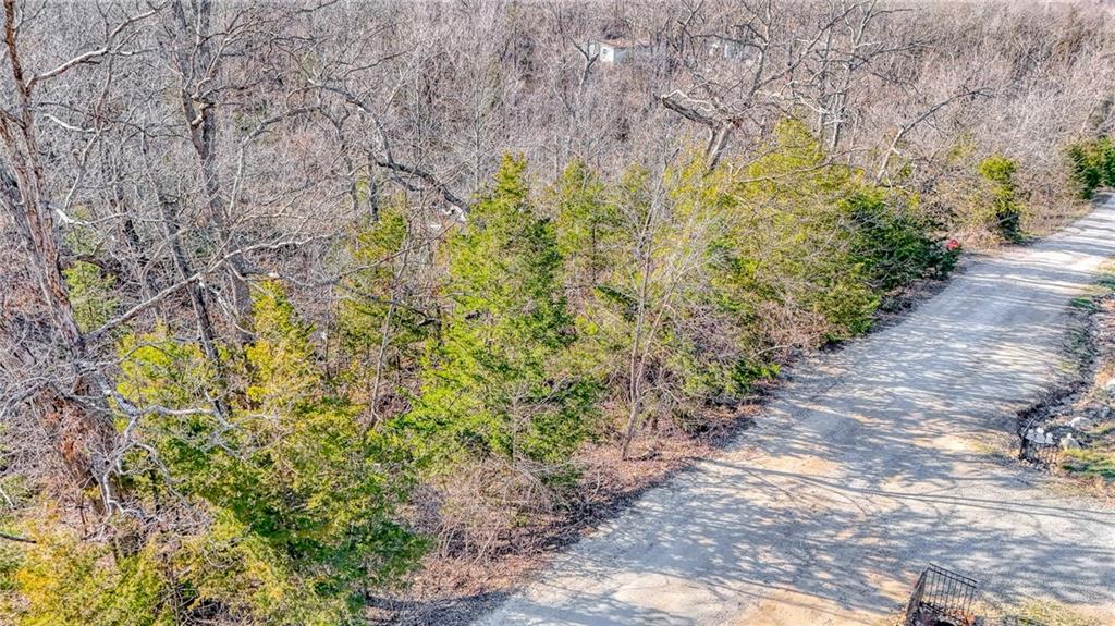 Listing Photo MLS #HMS2608043