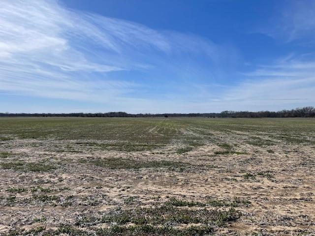 Listing Photo MLS #HMS2608139