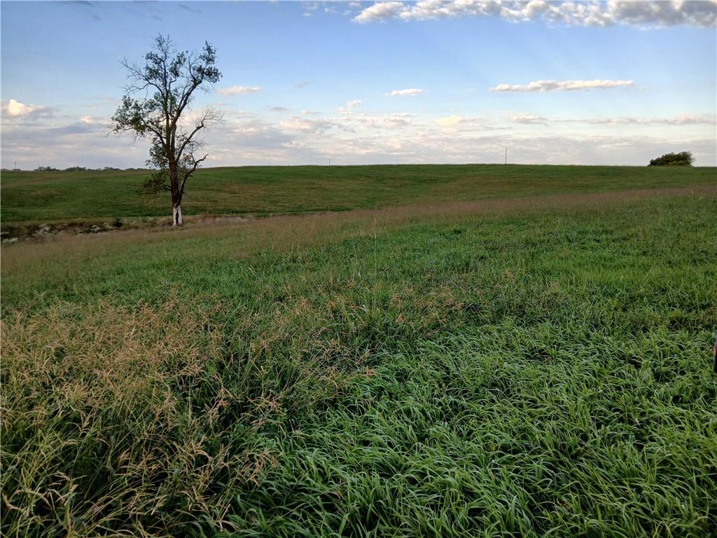 Listing Photo MLS #HMS2608768