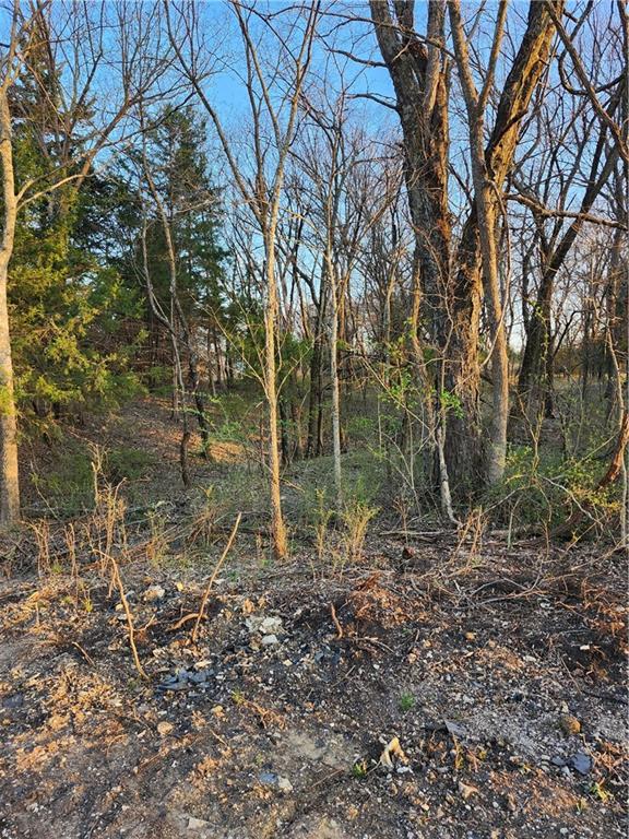 Listing Photo MLS #HMS2609881