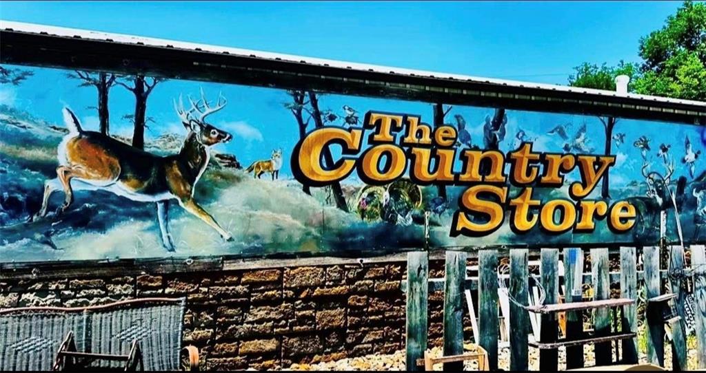 Listing Photo MLS #HMS2610333