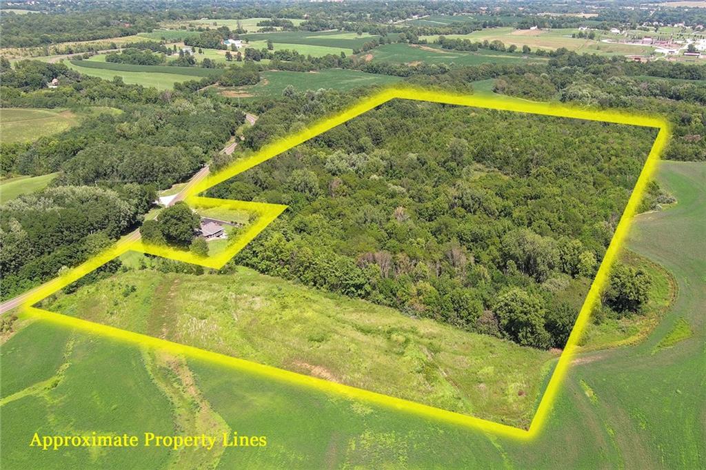 Listing Photo MLS #HMS2614582