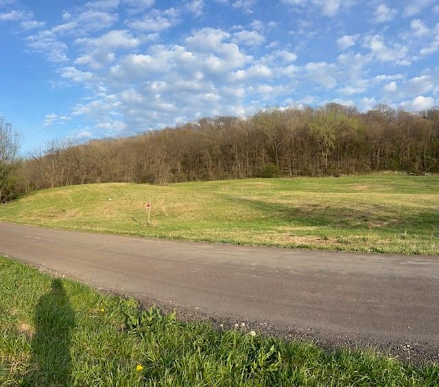 Listing Photo MLS #HMS2614699