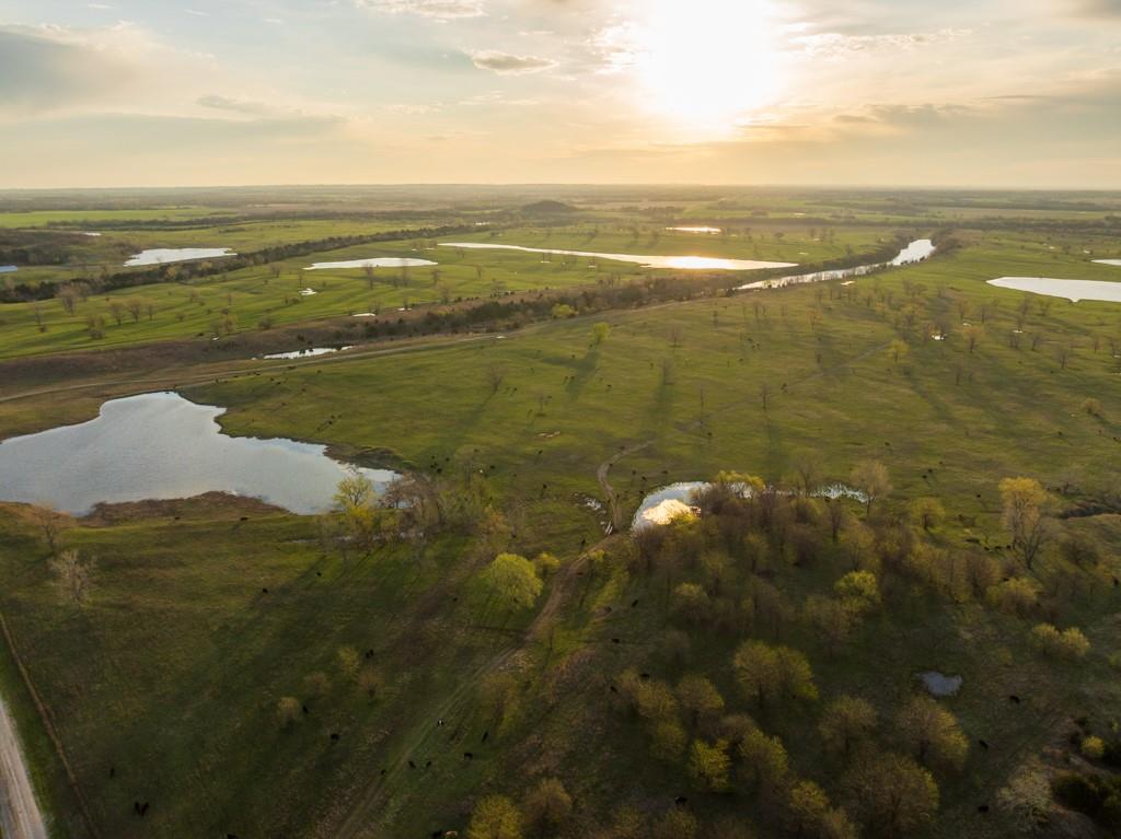 Listing Photo MLS #HMS2614862