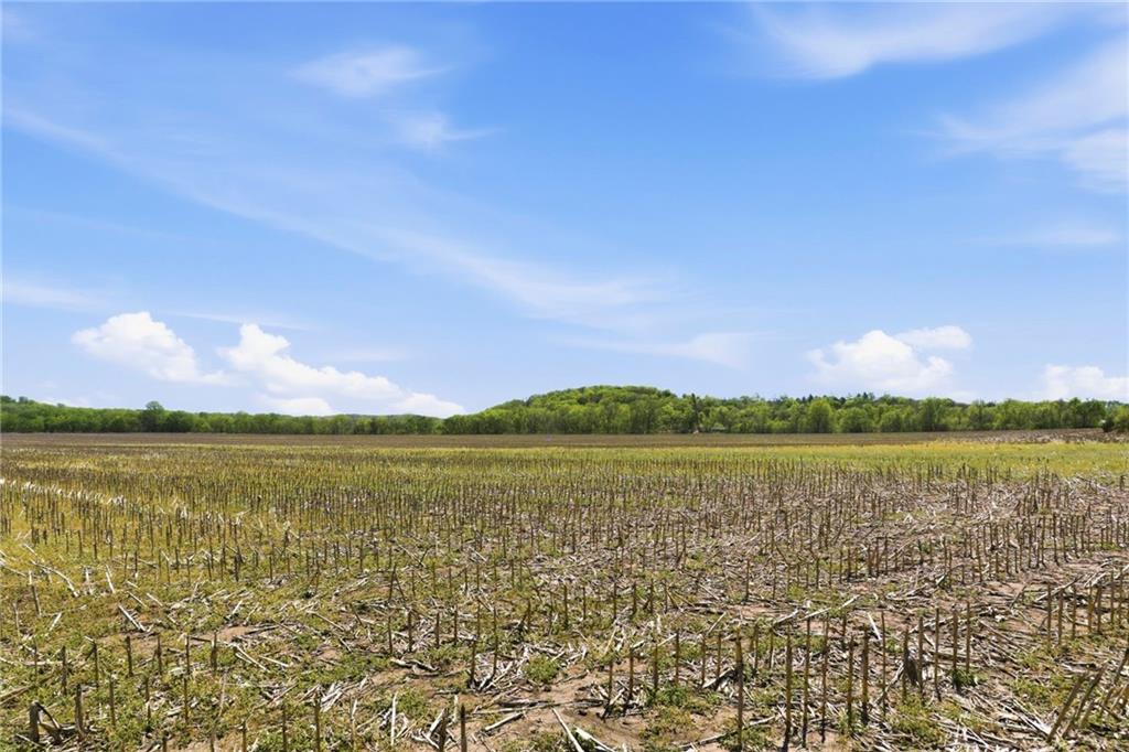 Listing Photo MLS #HMS2615497