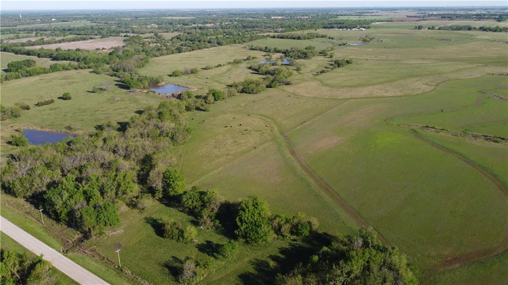 Listing Photo MLS #HMS2615805