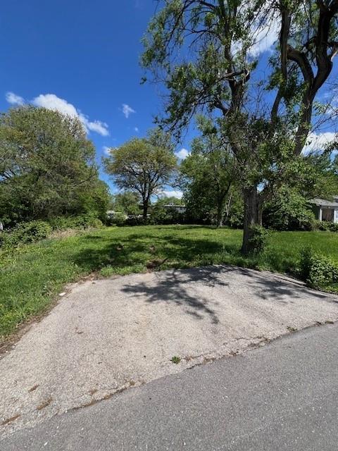 Listing Photo MLS #HMS2615925