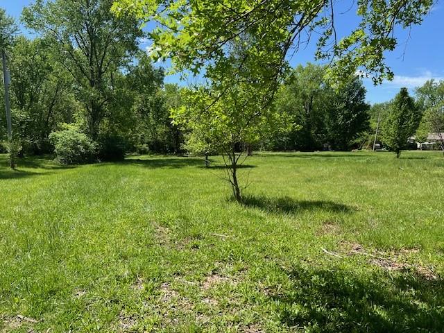 Listing Photo MLS #HMS2615939