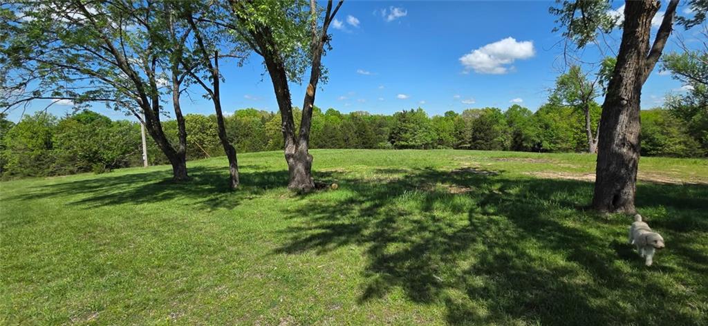 Listing Photo MLS #HMS2616648