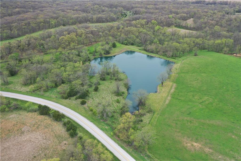 Listing Photo MLS #HMS2617069
