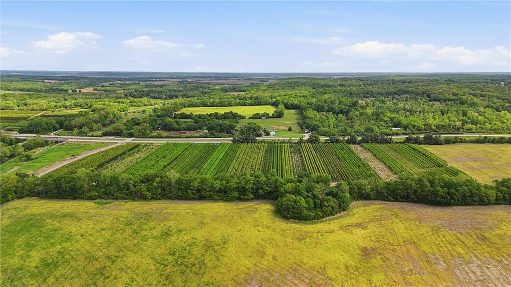 Listing Photo MLS #HMS2617223