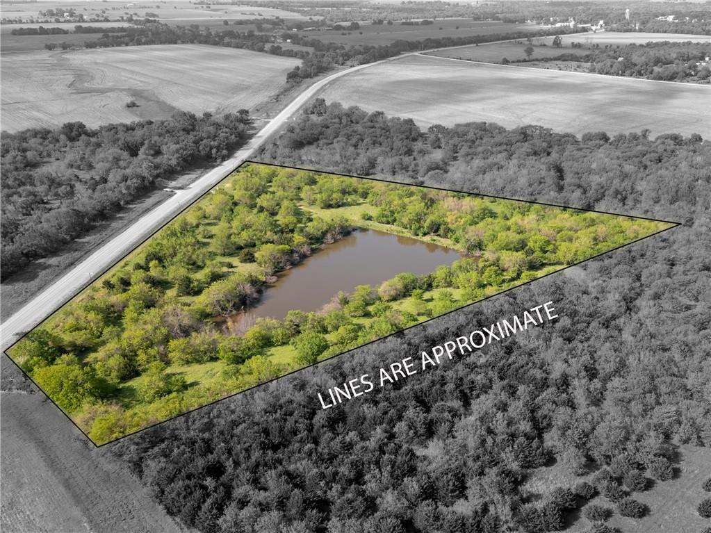 Listing Photo MLS #HMS2617477