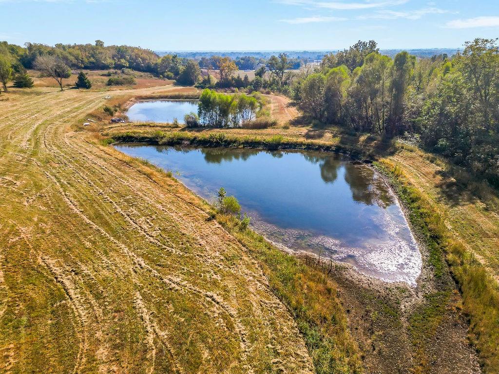 Listing Photo MLS #HMS2618540