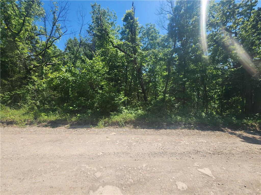 Listing Photo MLS #HMS2619515