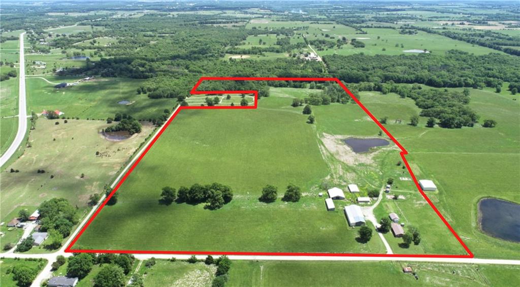 Listing Photo MLS #HMS2619708