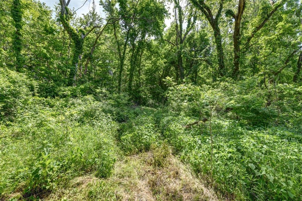 Listing Photo MLS #HMS2620095