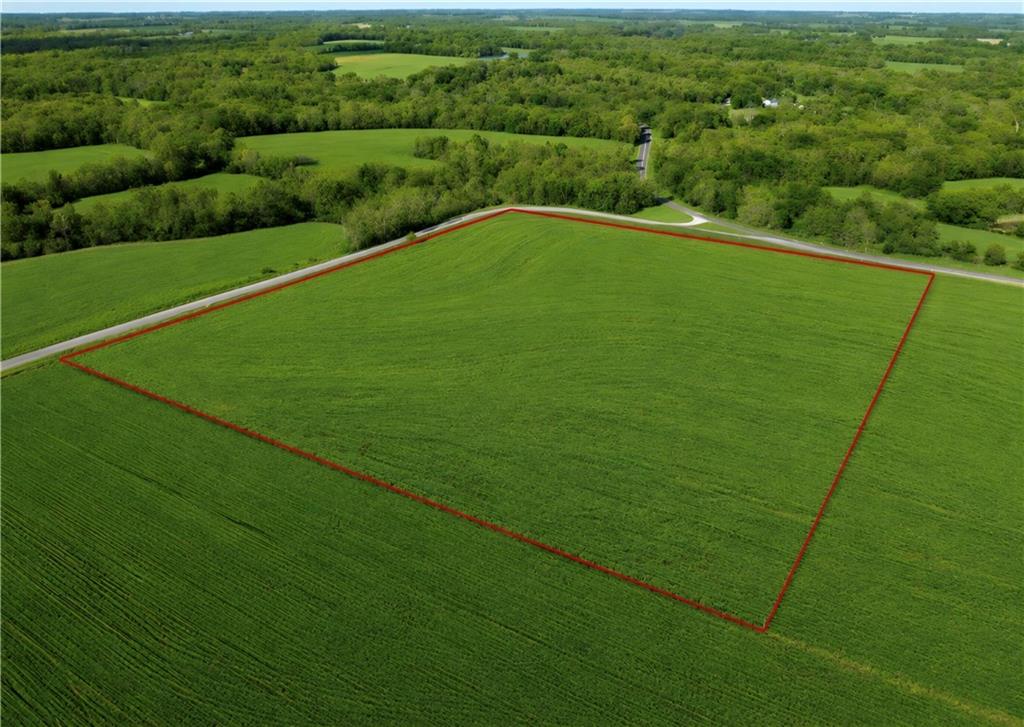 Listing Photo MLS #HMS2620159