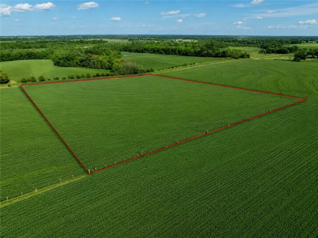 Listing Photo MLS #HMS2620577