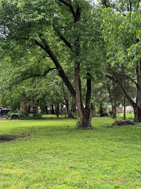 Listing Photo MLS #HMS2620892