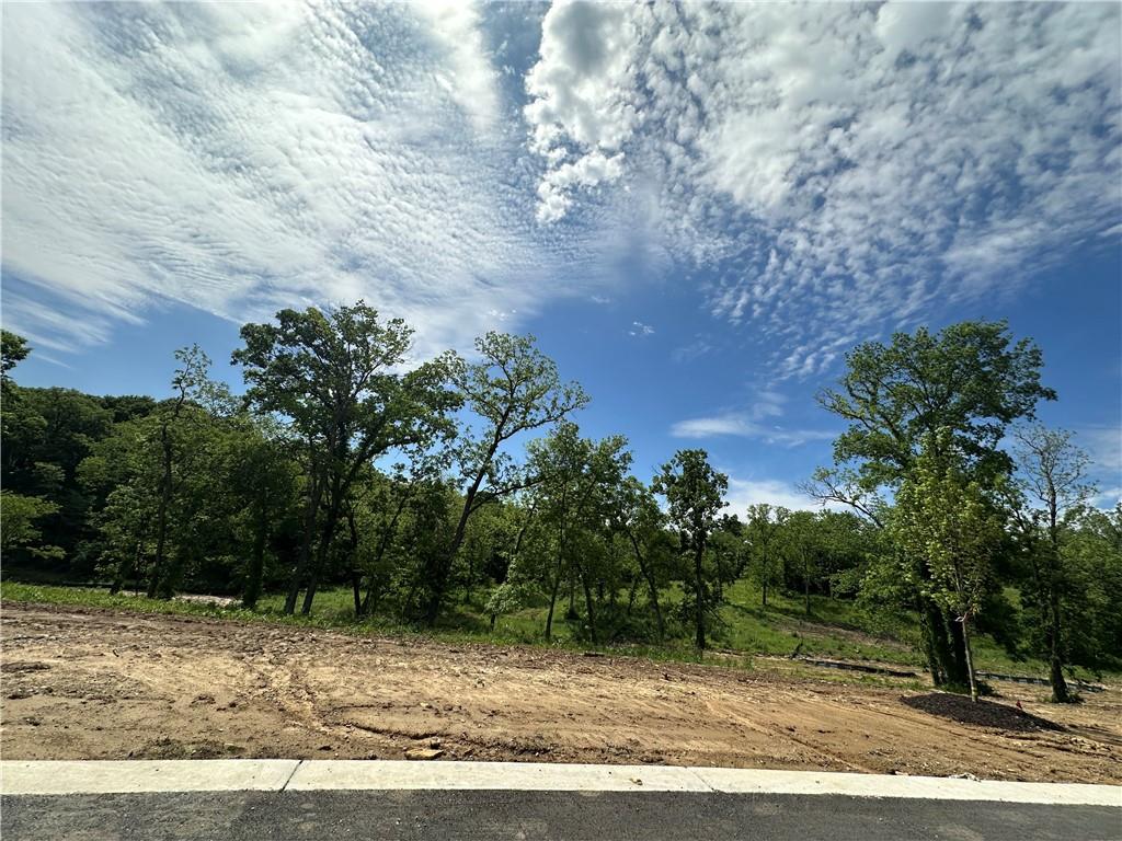 Listing Photo MLS #HMS2621401