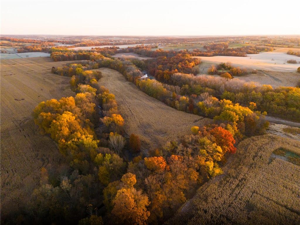 Listing Photo MLS #HMS2621851