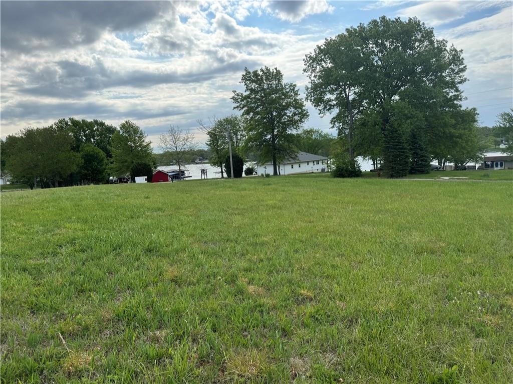 Listing Photo MLS #HMS2623926