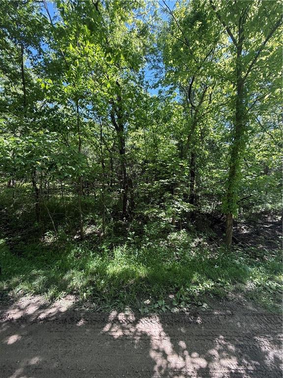 Listing Photo MLS #HMS2624016