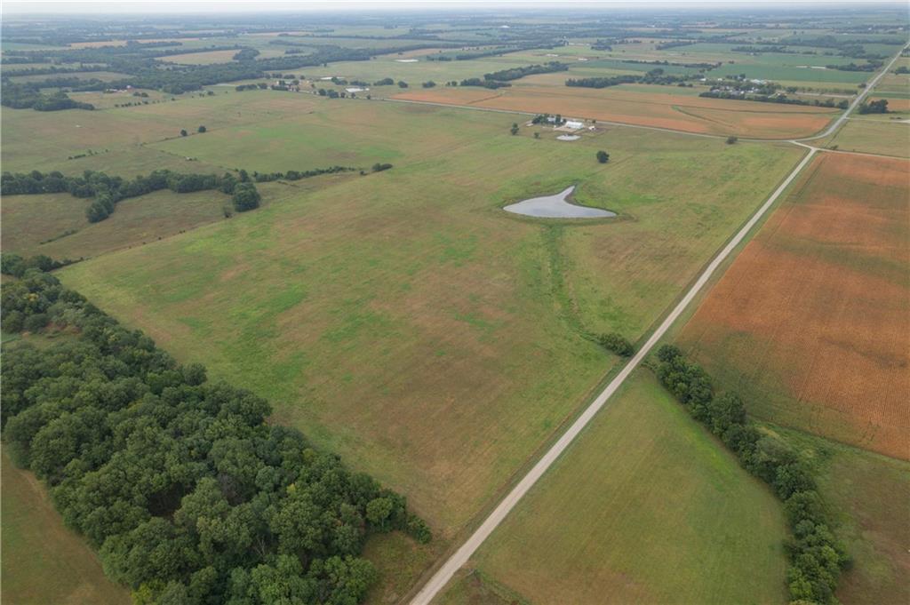 Listing Photo MLS #HMS2624296