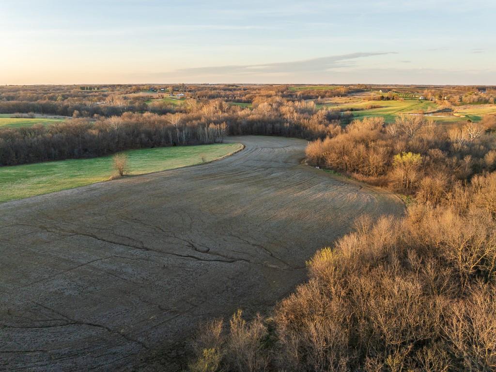 Listing Photo MLS #HMS2624852