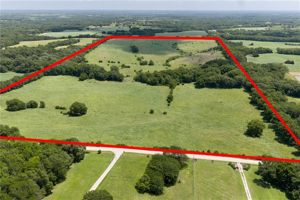 Listing Photo MLS #HMS2624898