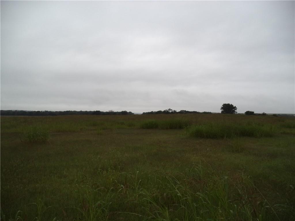 Listing Photo MLS #HMS2627189