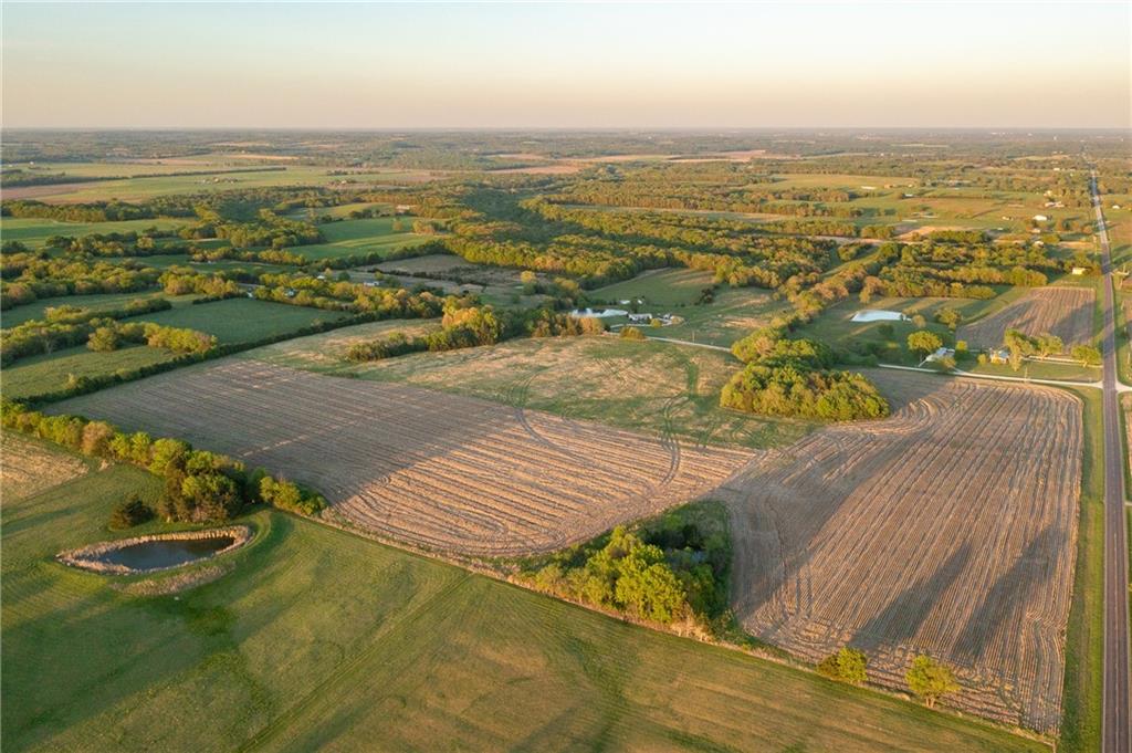 Listing Photo MLS #HMS2629148