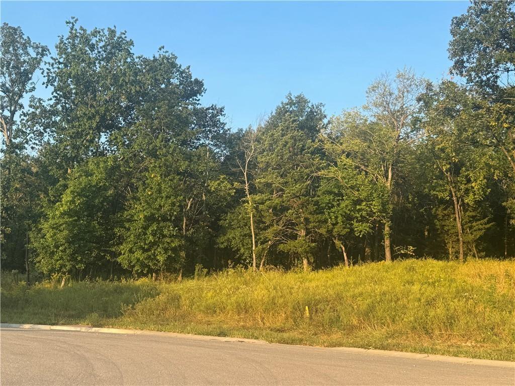 Listing Photo MLS #HMS2631301