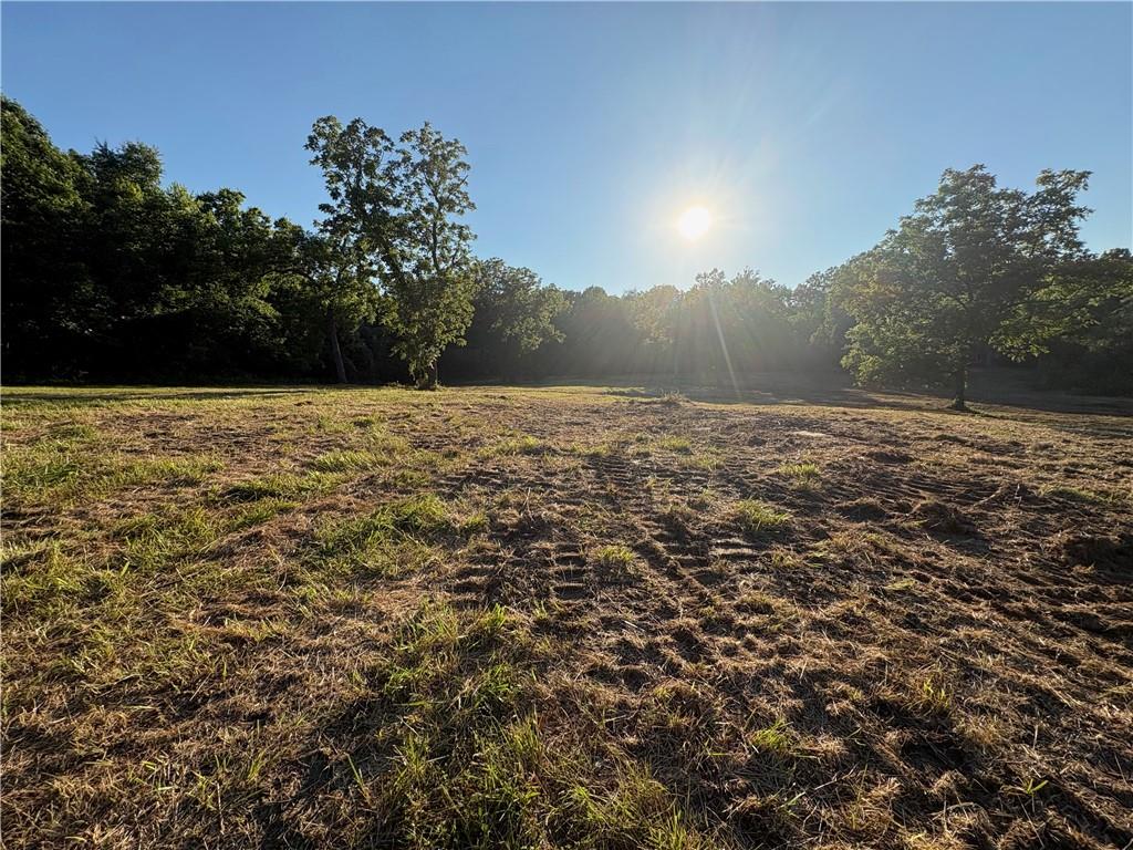 Listing Photo MLS #HMS2631563