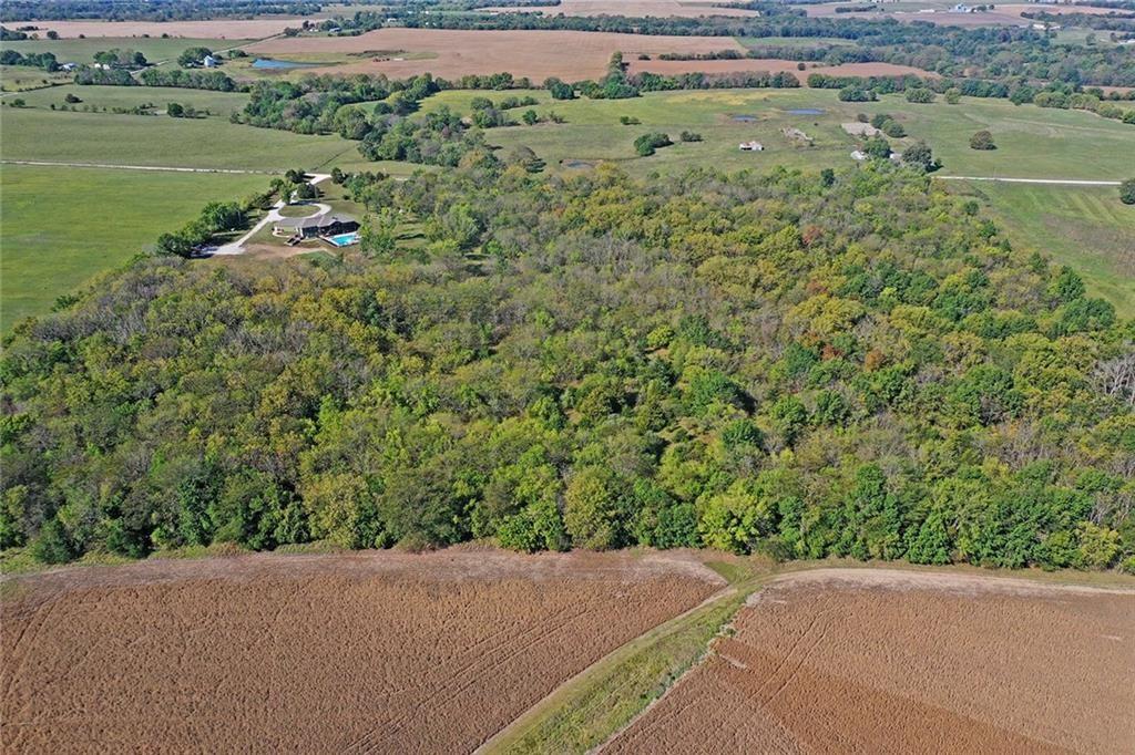 Listing Photo MLS #HMS2631629