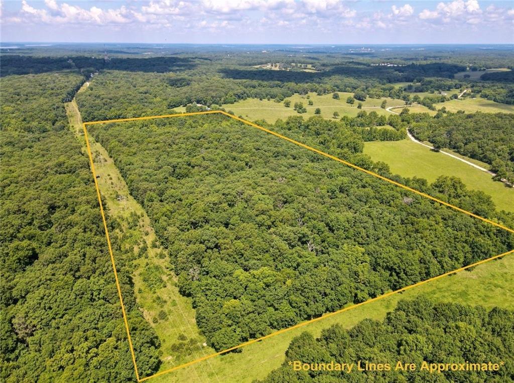 Listing Photo MLS #HMS2632160