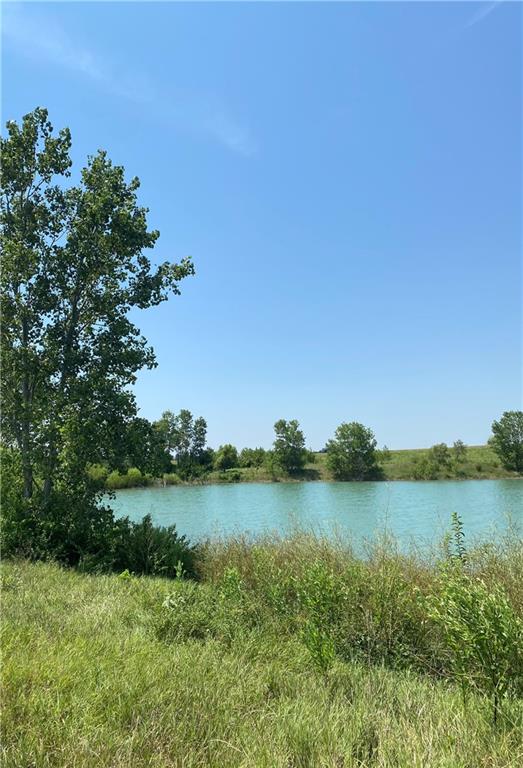 Listing Photo MLS #HMS2632592